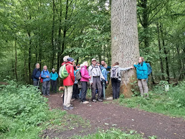 Den Wald mit allen Sinnen erleben: Während einer Wanderung erkunden die Teilnehmer einen mächtigen Baum auch durch Tasten und Fühlen.  | Foto: Wintergerst