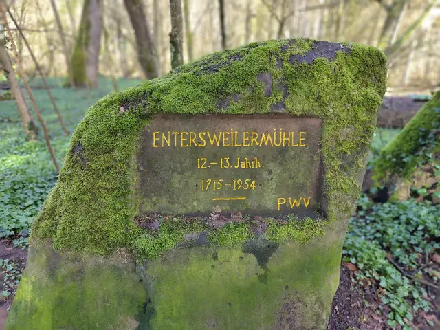 Südlich des Wertholzlagers Entersweilerfeld und nördlich der Bahnunterführung ins Hungerbrunnental steht als Erinnerung an eine Mühle dieser Ritterstein | Foto: Stefan Fiedler