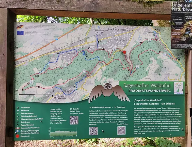 Sagenhafter Waldpfad | Foto: Ich