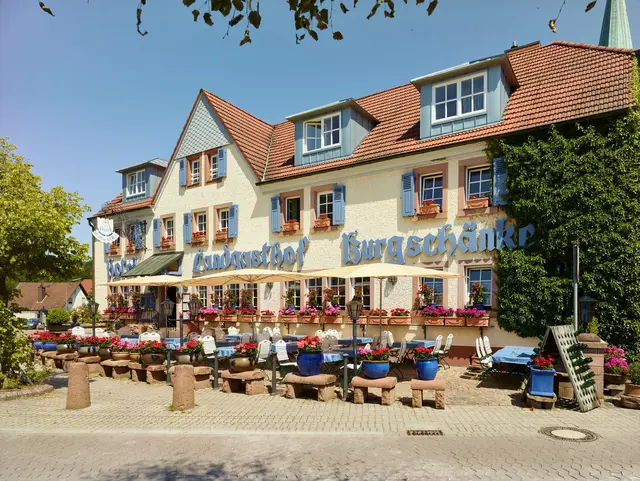 Urlaub in der Pfalz: Genießen Sie vom Hotel und Restaurant Burgschänke aus diese wunderschöne Region in Rheinland-Pfalz: Beim Wandern durch den Wald, beim Mountainbiken durch den Naturpark Pfälzerwald oder beim Motorradfahren auf einer der reizvollen Strecken in der Pfalz. | Foto: Thomas Brenner