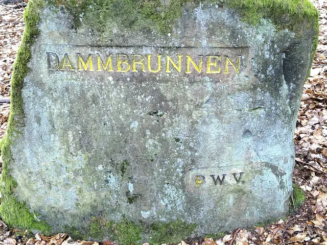 Der Ritterstein verweist auf den Dammbrunnen, eine Quelle im Stiftswald Kaiserslautern oberhalb des kleinen Dammtals | Foto: Stefan Fiedler/gratis