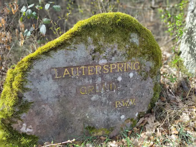 Der Ritterstein mit der Nummer 294 bezeichnet die Stelle, an der die Quelle der Lauter entspringt | Foto: Stefan Fiedler/gratis