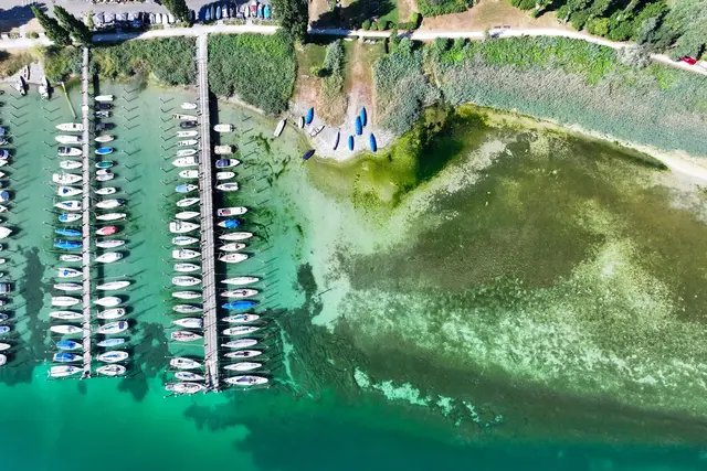 Das Niedrigwasser hat schon erste Auswirkungen.  | Foto: Felix Kästle/dpa