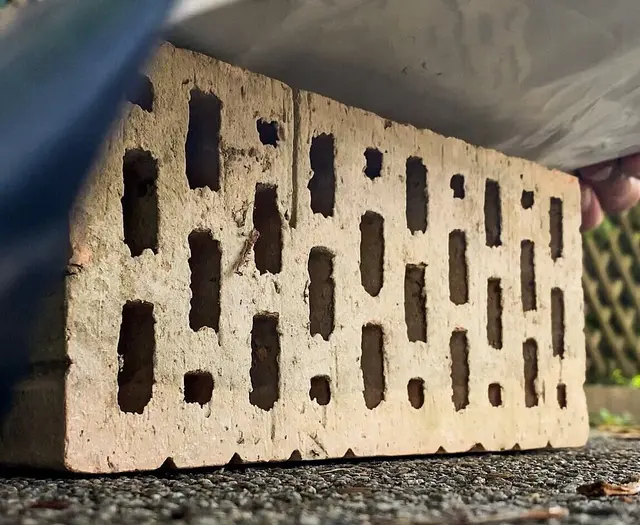In der Nachbarschaft tauchen immer wieder Ameisenstraßen im Garten oder an der Hauswand auf. Bei der Ameisen-weg-Woche ging es um einfache Methoden, um das Eindringen ins Haus zu verhindern und Kolonien einzudämmen. | Foto: | Stadt Karlsruhe, Boris Burghardt