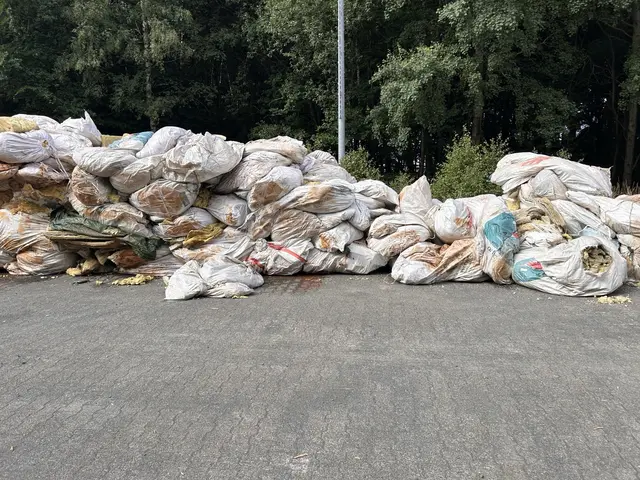 An der B327 bei der Zolleiche zwischen Hinzerath und Hochscheid wurde eine große Menge illegal entsorgter Abfälle gefunden. Die Polizei sucht Zeugen, nachdem dort vor allem alte Dämmwolle in Bigpacks abgeladen wurde. | Foto: Polizeidirektion Trier