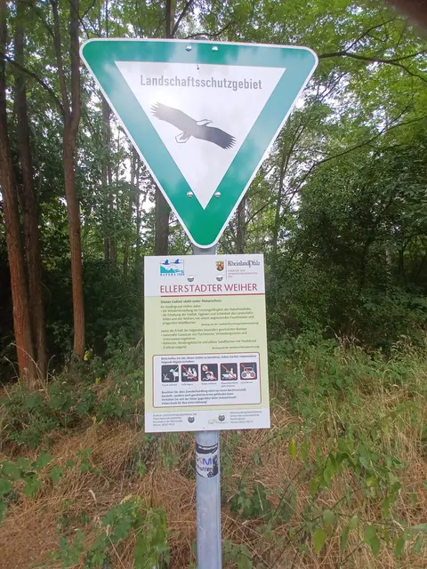 Foto: Monika Birkholz