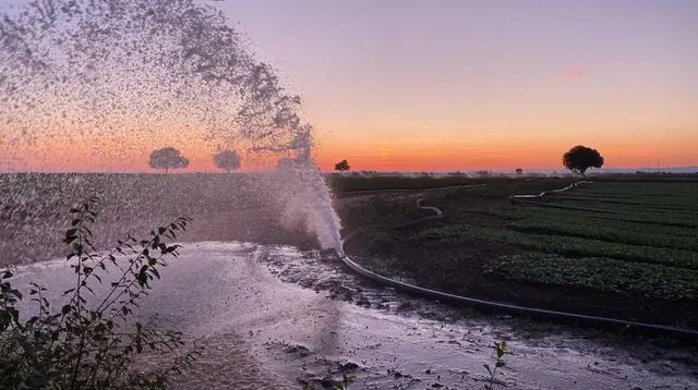 Ein geplatzter Bewässerungsschlauch hat an der A65 bei Deidesheim am frühen Freitagmorgen für eine Aquaplaning-Gefahr gesorgt. Die Polizei sicherte den Bereich kurz vor dem Übergang zur B271 ab, während die Ursache beseitigt wurde. | Foto: Polizeidirektion Landau