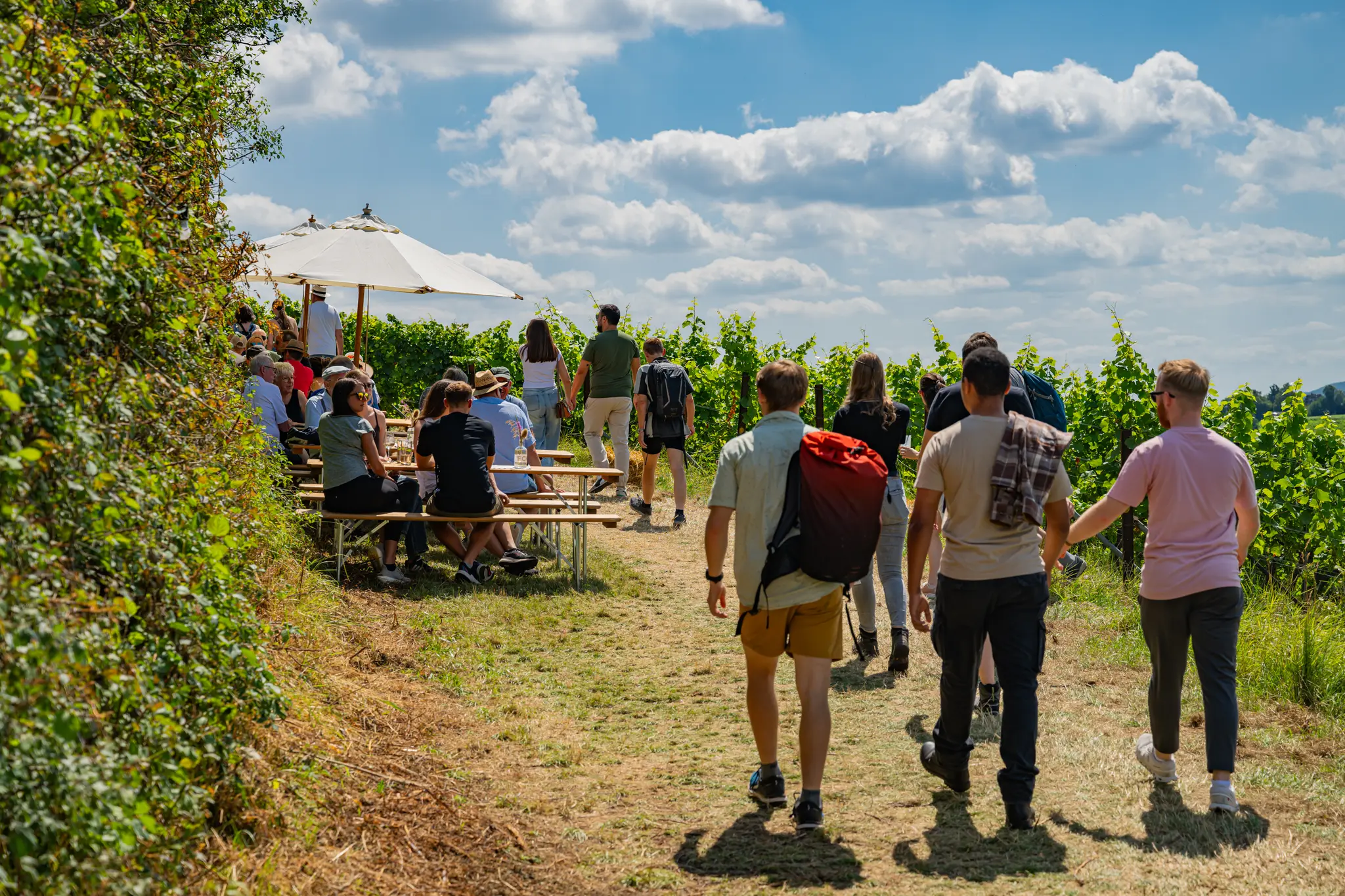 Wochenende-in-der-Pfalz-Hier-ist-vom-24-bis-26-Juli-etwas-los