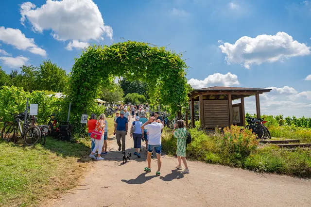 Wein, Live-Musik und Ausblicke über die Südpfalz machen das Kalmitfest zu einem besonderen Sommerfest | Foto: CC-BY Pfalz Touristik, Heimatlichter GmbH