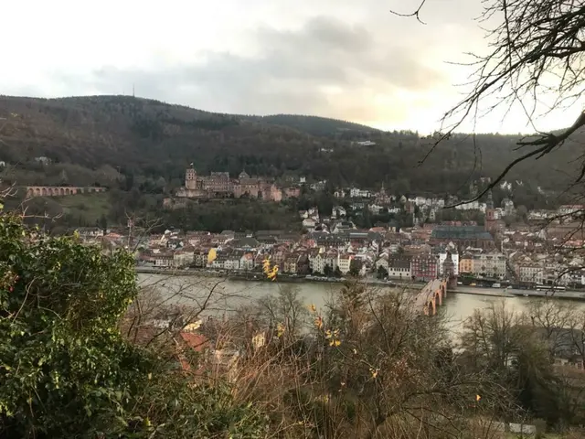 Blick auf Heidelberg | Foto: Ich