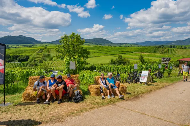 Beim Kalmitfest in Ilbesheim treffen Ausblick, Weinberge und Festbetrieb aufeinander – ein typisches Bild für die kleineren Sommerfeste in der Pfalz | Foto: CC-BY Pfalz Touristik, Heimatlichter GmbH 