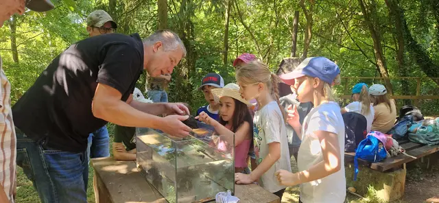 Wassertiere hautnah: Kinder erkunden ihren Lebensraum | Foto: ASS