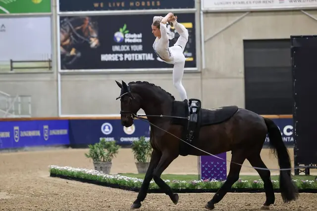 Lara Veth auf Pferd Icarus im Sentower Park, Belgien 2026

 | Foto: Andreas Danner/frei