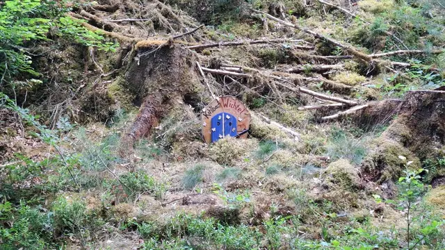 geheimnisvolle Tür | Foto: Ich
