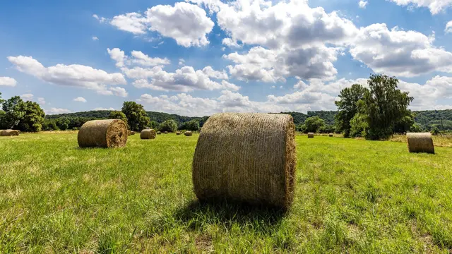 Mit der Maschine macht ein Landwirt gerade Heuballen, als diese plötzlich in Flammen aufgeht. (Symbolbild) | Foto: Frank Hammerschmidt/dpa