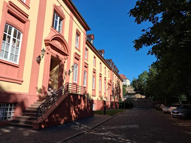 Altes Schloss / Kirchheimbolanden | Foto: ELISABETH  WEBER