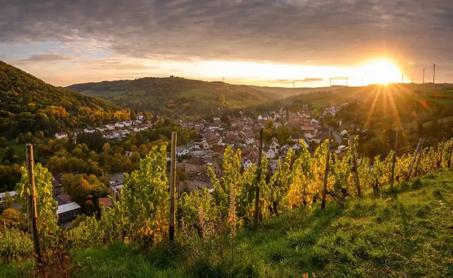 Der Donnersberg-Kreis hat landschaftlich und kulturell viel zu bieten.  | Foto: Florian Orth, Donnersberg Touristik Verband