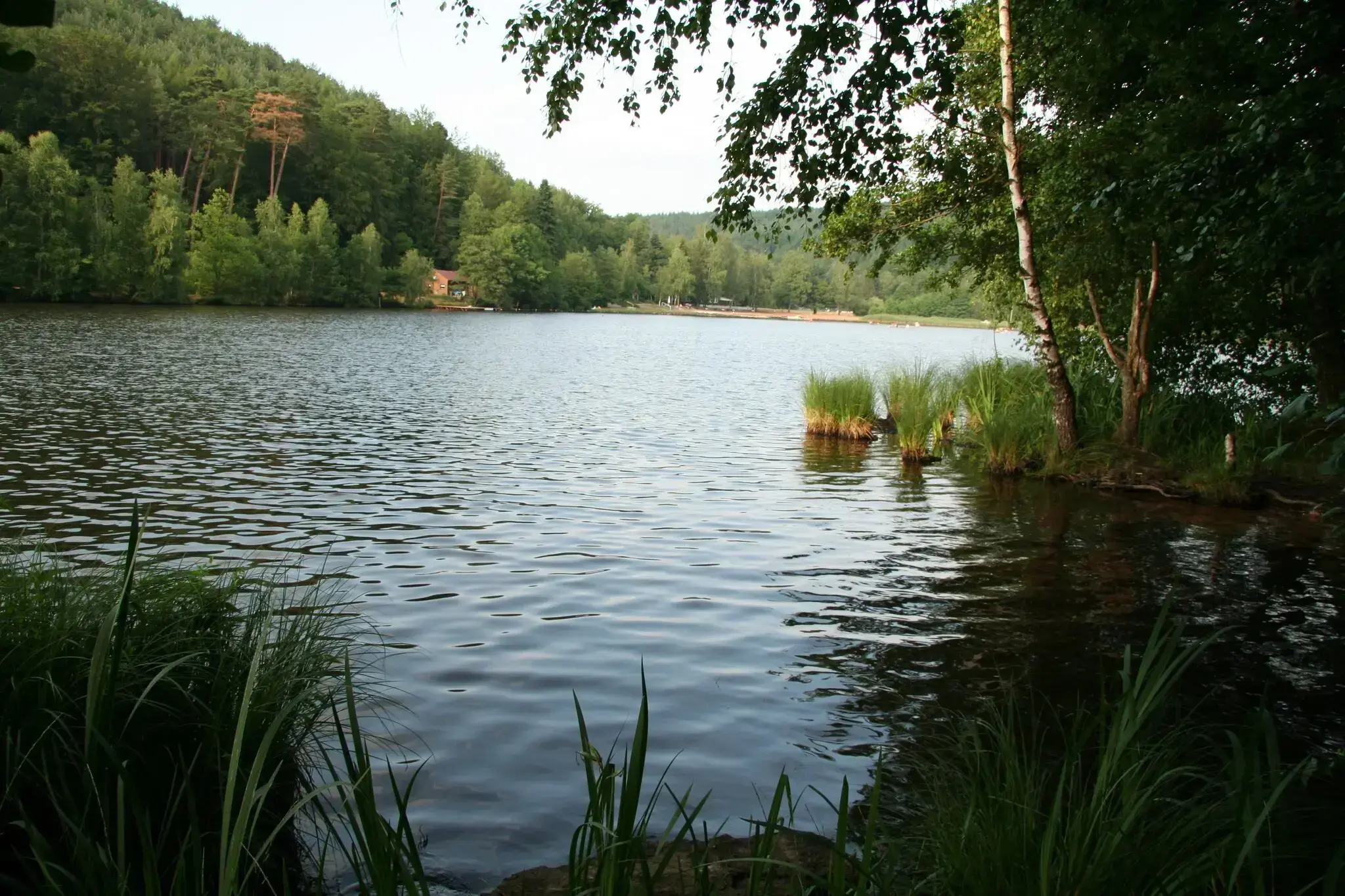 Gelterswoog-Kaiserslautern-Badesee-mit-Freizeitspa-im-Pf-lzerwald