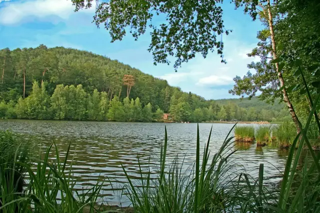 Badeseen Pfalz: Der Gelterswoog ist ein großer Stausee in der Westpfalz | Foto: Stadt Kaiserslautern