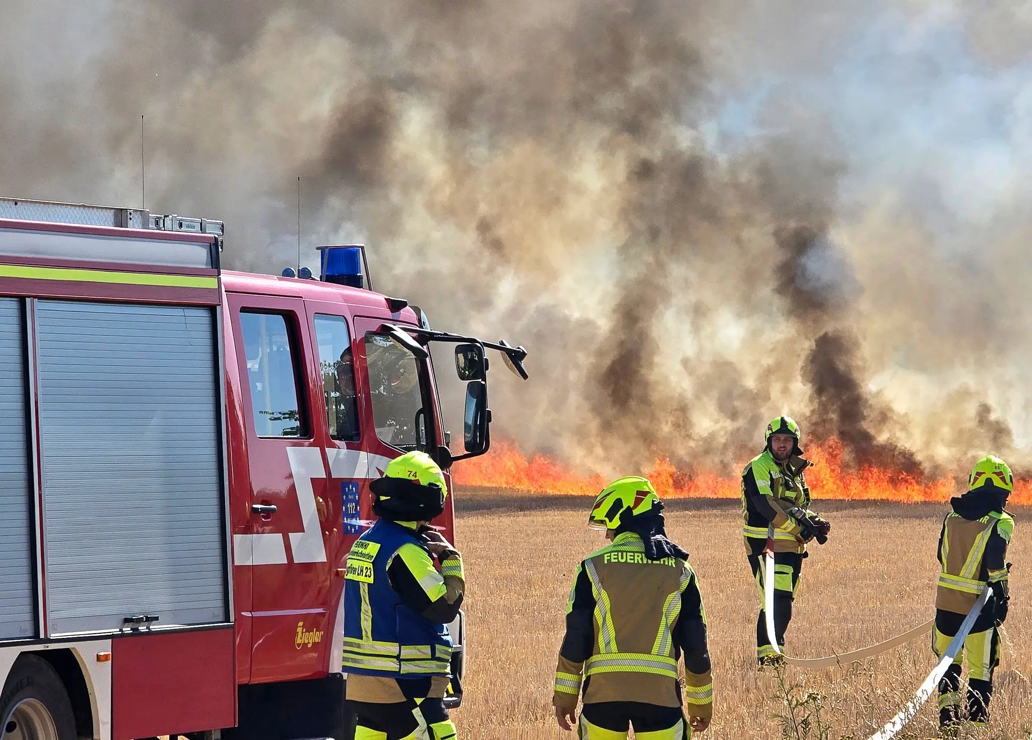 Hohe-Waldbrandgefahr-in-Baden-W-rttemberg-DWD-warnt