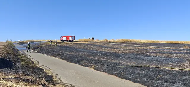 Das Feuer übersprang sogar einen Feldweg. Erst als sich die Windrichtung änderte, konnte eine weitere Ausbreitung in Richtung Wörsbach verhindert werden. | Foto: Freiwillige Feuerwehr Otterbach-Otterberg