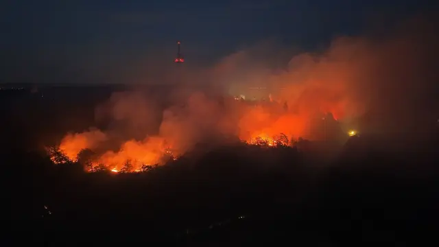 Bei der Bekämpfung eines Waldbrands kommt es auch auf Teamwork an. (Archivbild) | Foto: Kevin Schößler/dpa
