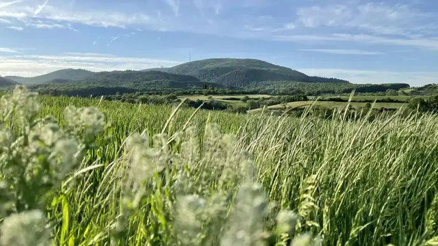 Der Donnersberg bei Kirchheimbolanden ist das Dach der Pfalz. | Foto: Kreisverwaltung Donnersbergkreis