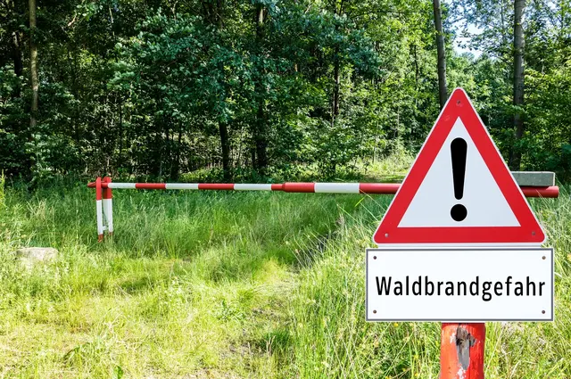 Waldbrandgefahr durch heißes Auto beim Parken auf trockenem Gras vermeiden. | Foto: ADAC Hessen-Thüringen e.V.