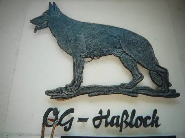 Foto: Gunter Bohrer