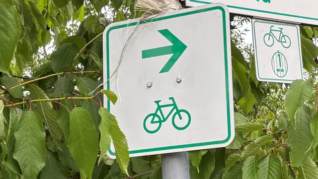 Drei Radwegeprojekte sind im Landkreis Germersheim geplant (Symbolfoto).  | Foto: Thorsten Kornmann