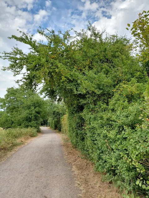 Foto: Stadtverwaltung Schifferstadt