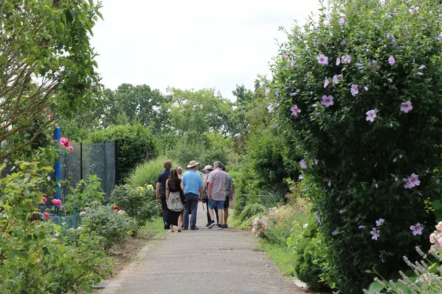 Eine Kleingartenanlage in der Stadt, in der Menschen spazieren gehen und sich an Grünflächen erfreuen. | Foto: Stadt Mannheim
