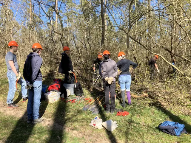 Wer im Wald unterwegs ist, sieht sie oft am Wegesrand: Bei einem Arbeitseinsatz im Dossenwald können Helfende invasive Pflanzen entfernen. | Foto: Stadt Mannheim