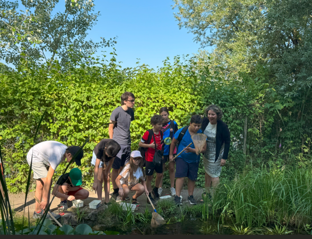 Mit Kescher und Lupe erkunden Kinder am Tümpel kleine Wasserlebewesen und lernen, wie Naturschutz vor der Haustür funktioniert. | Foto: Stadt Mannheim