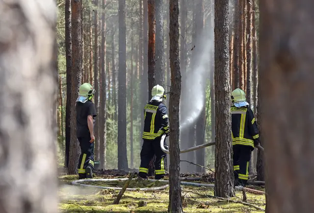 Waldbrand vermeiden: Wenn es im Wald brennt, ist Handeln gefragt. Umso wichtiger, dass man mit dem richtigen Verhalten Brände verhindern kann. | Foto: dpa