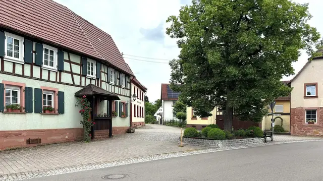 Die Viehstrich-Tour führt mitten durch das ruhige Dierbach. | Foto: Thorsten Kornmann