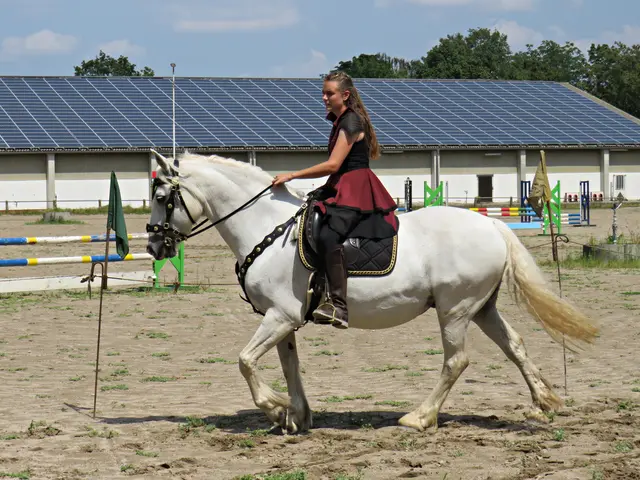 Foto: Brigitte Melder