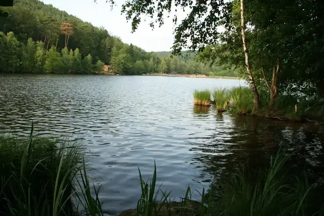 Gelterswoog Kaiserslautern: Er gehört zu den schönsten Seen in der Pfalz. Hier kann man nicht nur das Wasser genießen, sondern auch fischen und wandern. Ein Minigolfplatz befindet sich direkt neben dem Weiher.
 | Foto: Stadt Kaiserslautern