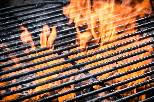 Am Eisweiher ist Picknicken weiter erlaubt, aber Grillen bleibt wegen der Trockenheit verboten. | Foto: Stadt Pirmasens