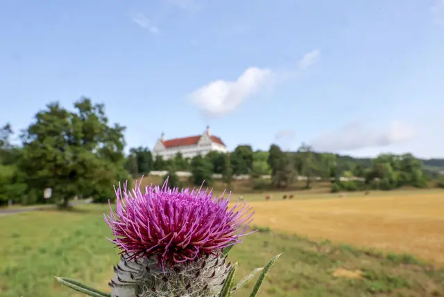 Milde Temperaturen und viel Sonnenschein erwarten Baden-Württemberg zum Wochenstart. (Symbolbild) | Foto: Thomas Warnack/dpa