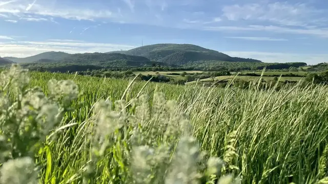 Der Donnersberg bei Kirchheimbolanden ist das Dach der Pfalz. | Foto: Kreisverwaltung Donnersbergkreis