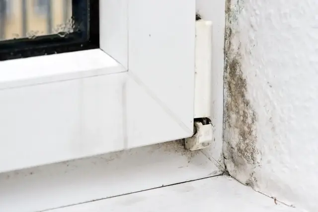 Mit 70-prozentigem Ethylalkohol soll sich kleinflächiger Schimmelpilz in der Wohnung beseitigen lassen. | Foto: dpa