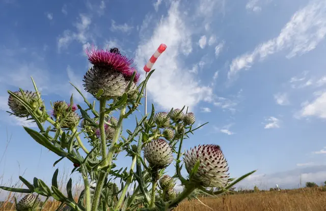 Heute gibt es eine Mischung aus Sonne und Wolken. | Foto: Thomas Warnack/dpa