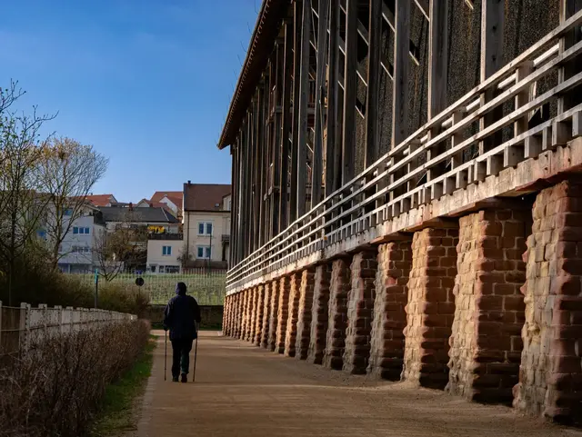 Für Spaziergänger und Läufer bietet die erfrischende Luft einen positiven Nebeneffekt - wer früh da ist, hat die Wege fast für sich alleine | Foto: Kim Rileit