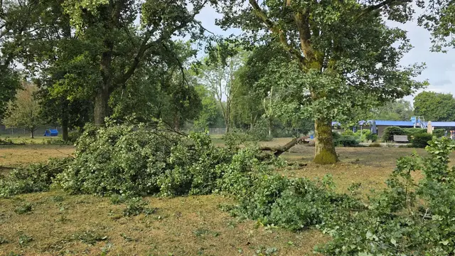 Im Waldschwimmbad laufen nach dem Unwetter die Aufräumarbeiten, bevor wieder gebadet werden kann. | Foto: Verbandsgemeindeverwaltung Bad Bergzabern