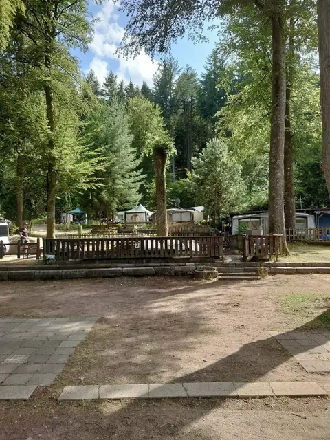 Idyllisches Camping im Pfälzerwald beim  Campingplatz am Gelterswoog | Foto: Camping Gelterswoog