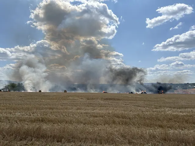 Ein Brand auf einer Getreidefläche an der B327 in Thalfang zerstörte rund vier Hektar Feld. Die Feuerwehr verhinderte gemeinsam mit Landwirten ein Übergreifen auf den Wald. | Foto: Polizeidirektion Trier