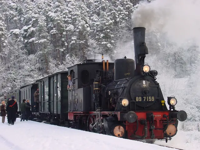 Auch bei Schnee fährt das Kuckucksbähnel Neustadt ins malerische Elmsteiner Tal.  | Foto: TKS Neustadt