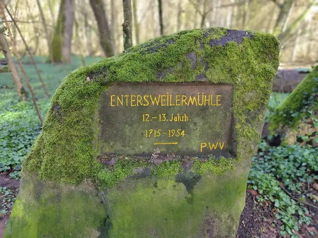 Südlich des Wertholzlagers Entersweilerfeld und nördlich der Bahnunterführung ins Hungerbrunnental steht als Erinnerung an eine Mühle dieser Ritterstein | Foto: Stefan Fiedler