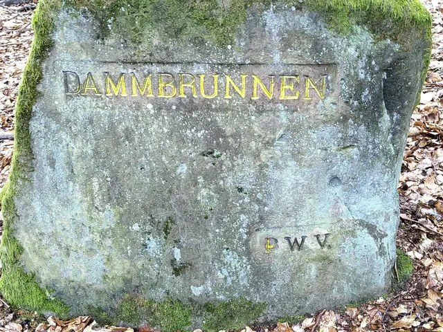 Der Ritterstein verweist auf den Dammbrunnen, eine Quelle im Stiftswald Kaiserslautern oberhalb des kleinen Dammtals | Foto: Stefan Fiedler/gratis